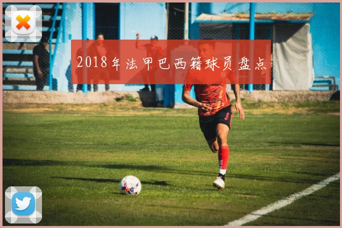 2018年法甲巴西籍球员盘点