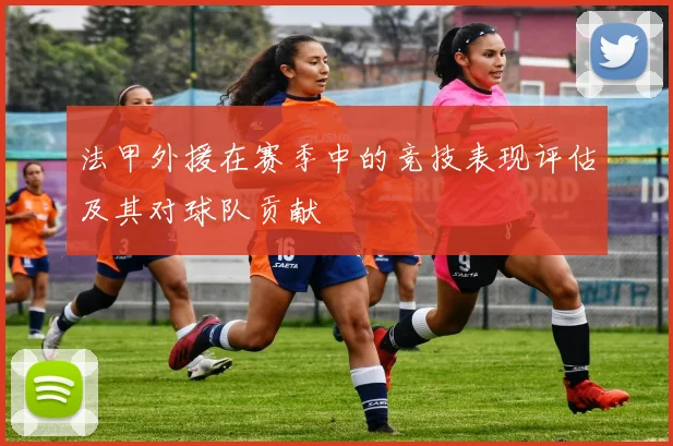 法甲外援在赛季中的竞技表现评估及其对球队贡献